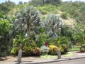 Habit at Iao Tropical Gardens of Maui, Maui, Hawaii (USA). May 22, 2012.