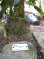 Habit and sign at Iao Tropical Gardens of Maui, Maui, Hawaii (USA). May 22, 2012.