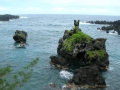 Habit view islets at Waianapanapa, Maui, (USA). April 22, 2006.
