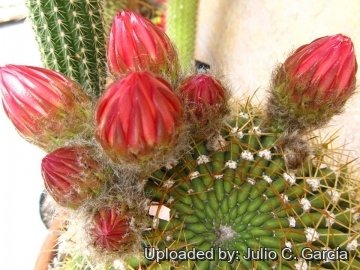 20172 julio Julio C. García 