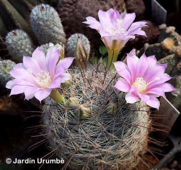 29748 alexander Alexander Arzberger