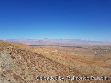 30118 RapCactus Raimondo Paladini