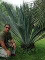 Habit at Nong nooch tropical botanical garden. (Thailandia)