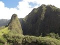 Habitat with Iao Needle at Iao, Maui, Hawaii (USA). April 30, 2010.