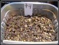Seedlings.